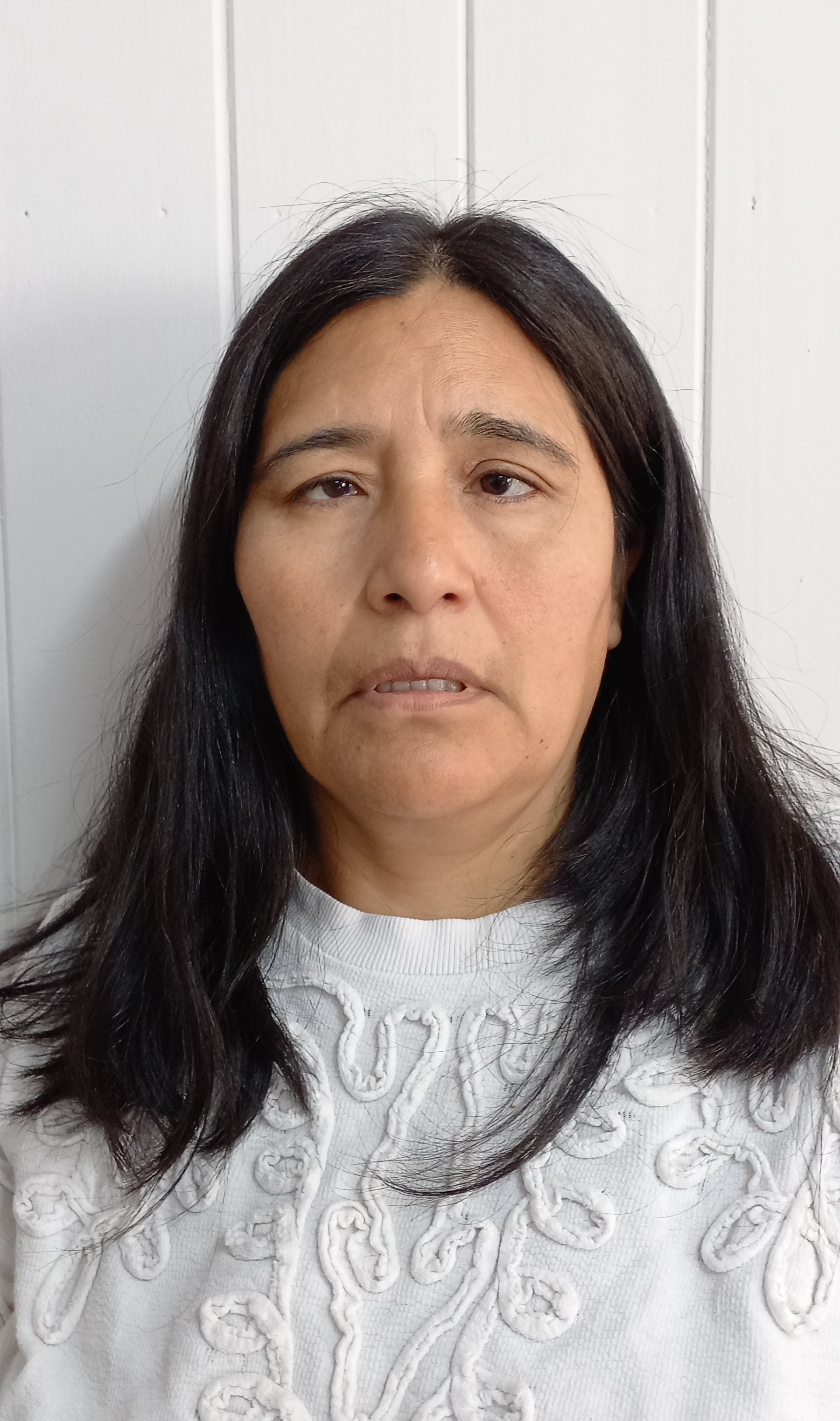 Gladys Mamani